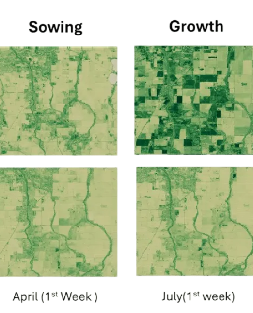 One Unified Workspace for Crop Health Analysis